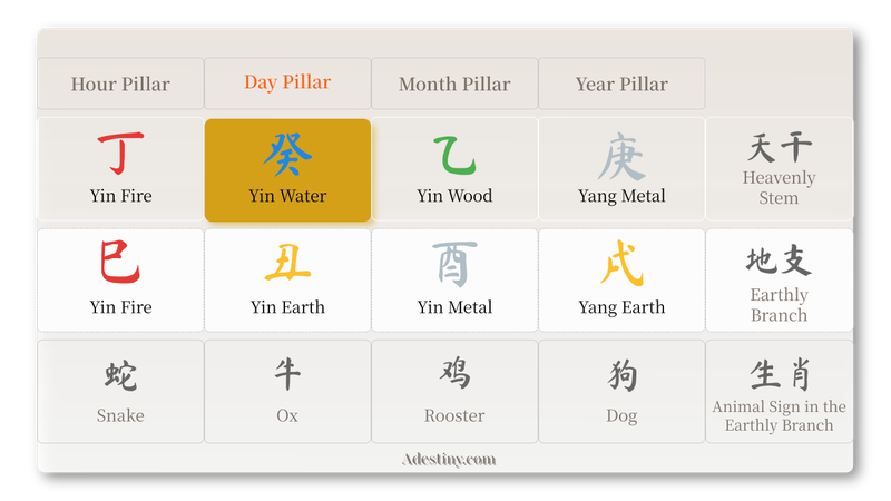 Diagram showing the Day Master in a Bazi (Four Pillars) chart. Example chart from Adestiny.com’s Bazi Life Profiler highlights the Yin Water Day Master among the four pillars—Hour, Day, Month, and Year.