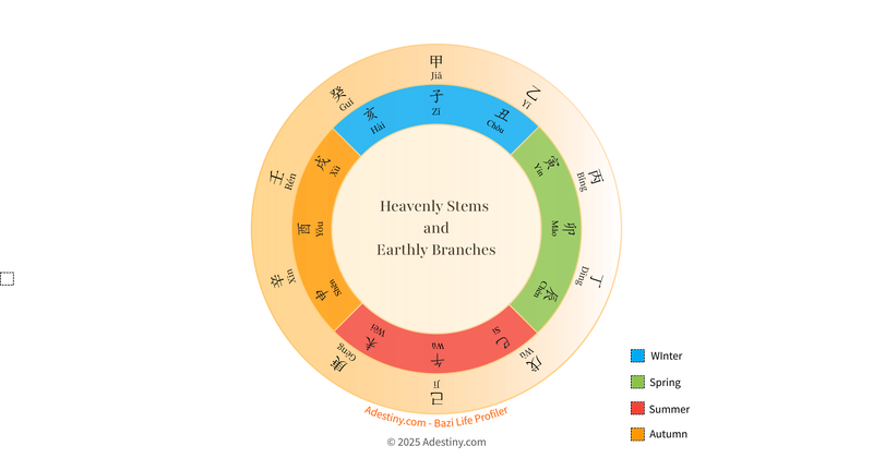 Diagram showing the Heavenly Stems and Earthly Branches used in Bazi analysis. Created by Adestiny.com for the Bazi Life Profiler system, it illustrates the cyclical relationships between Yin and Yang, the Five Element and the seasonal energies.